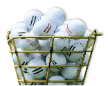 PGA Master Professional Golf Balls