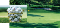 More PGA Master Professional Golf Balls